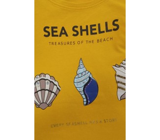MAJICA Seashells