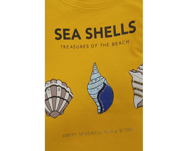 MAJICA Seashells